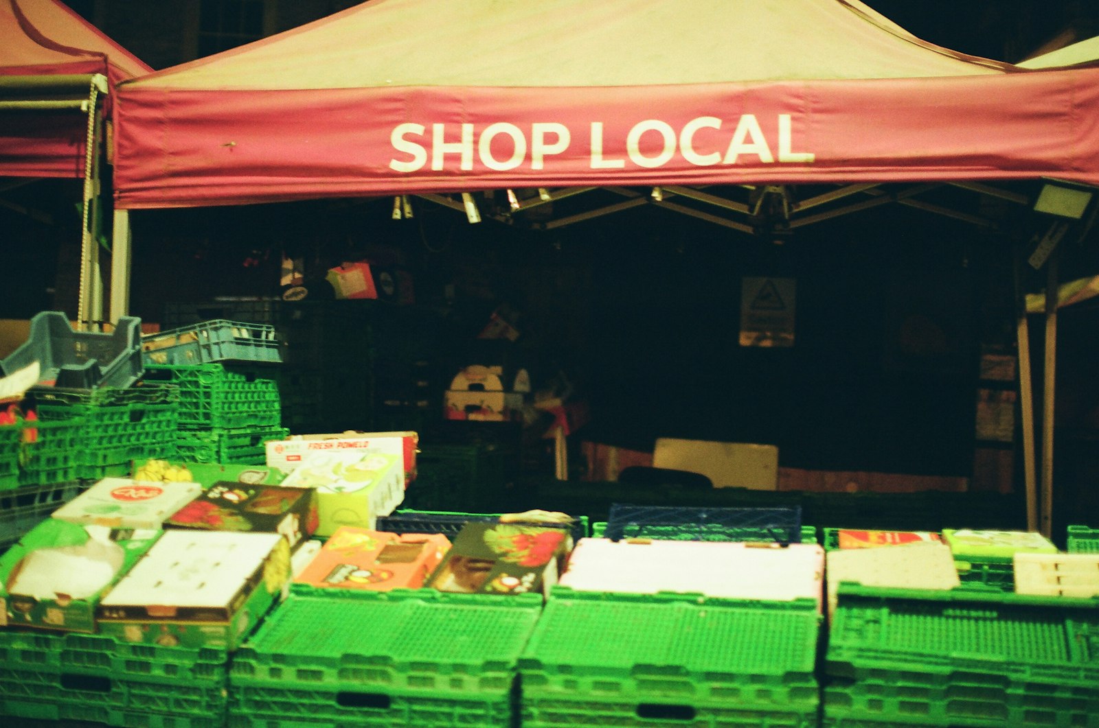 Landlord reviewing rental accounts